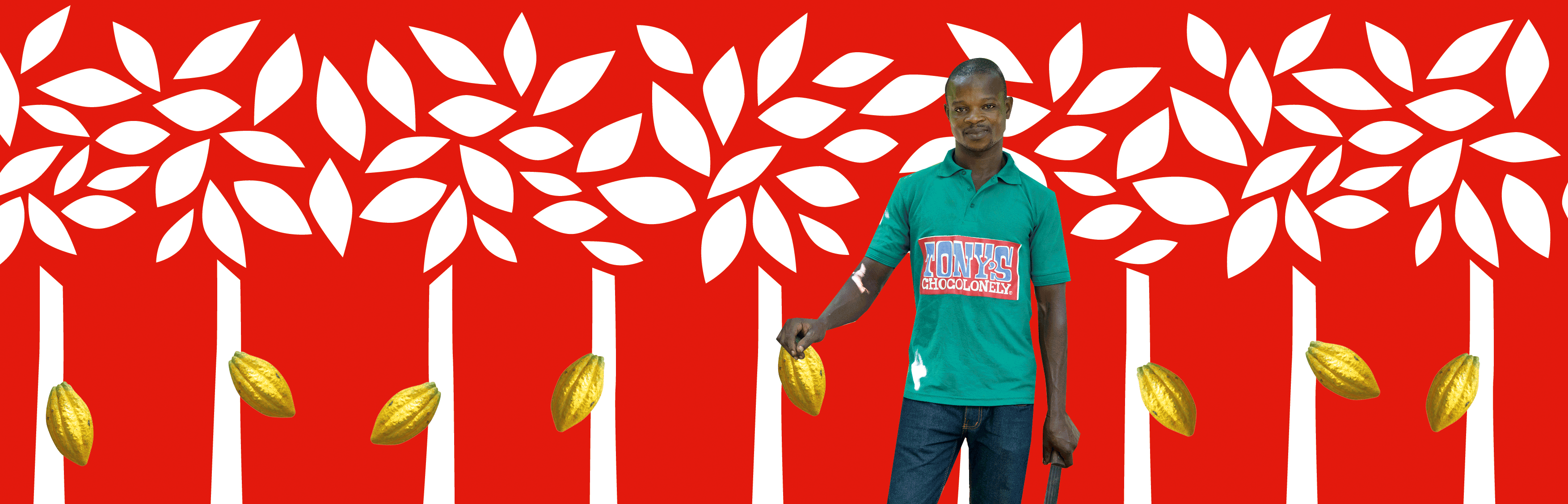 Why young Ghanaians aren't becoming cocoa farmers-Tony’s Chocolonely United States